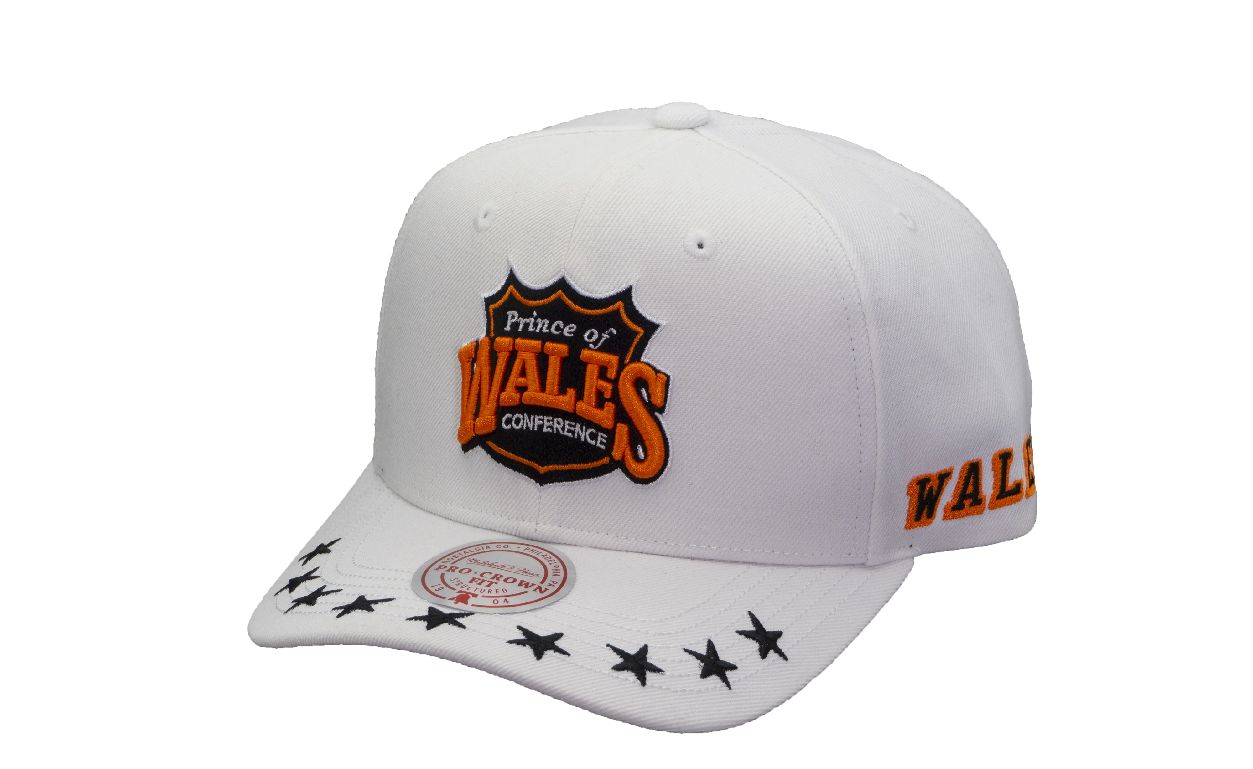 2024 NHL All Star Mitchell & Ness Men's Wales Vintage Snapback