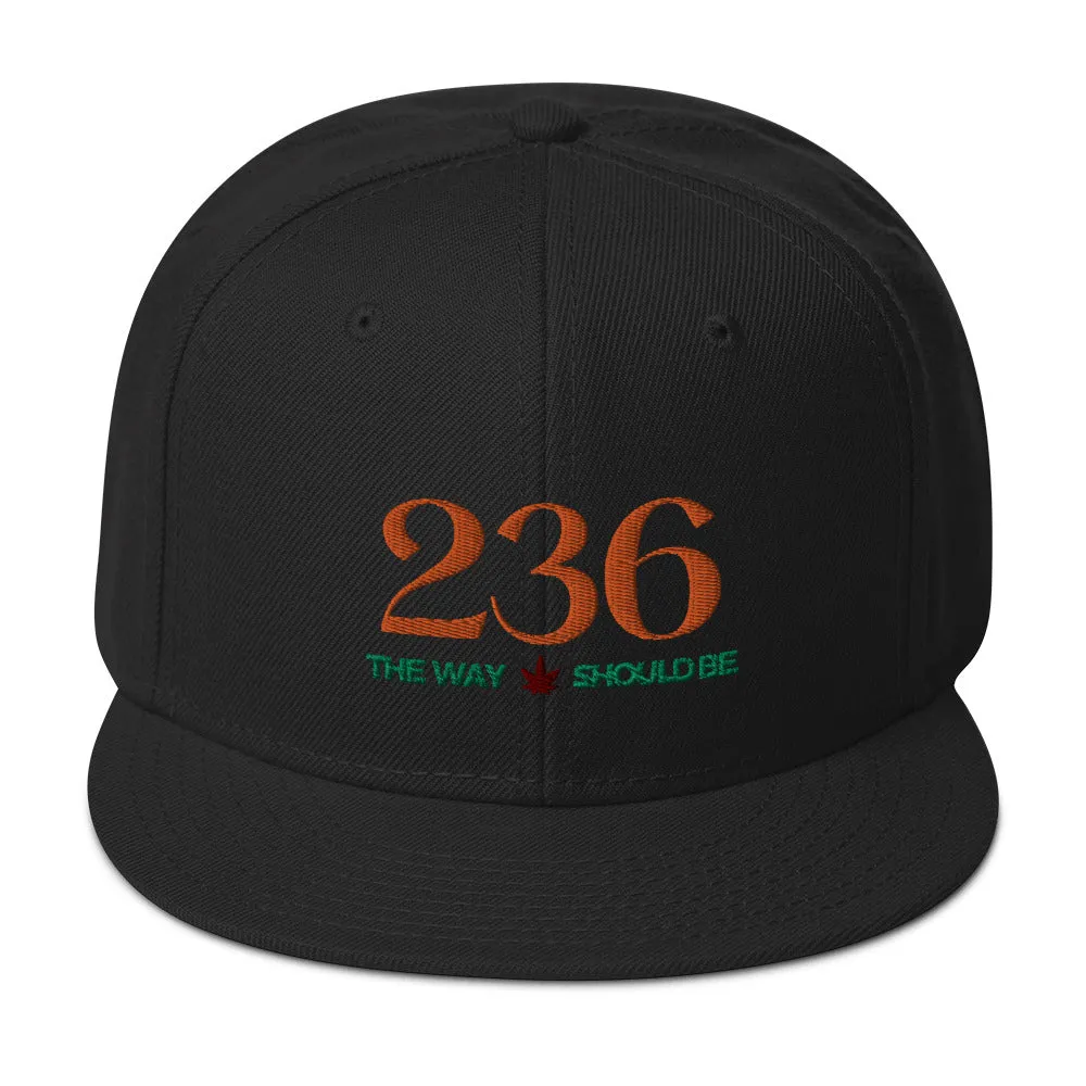 Coastal Maine Cannabis Inspired Snapback Hat