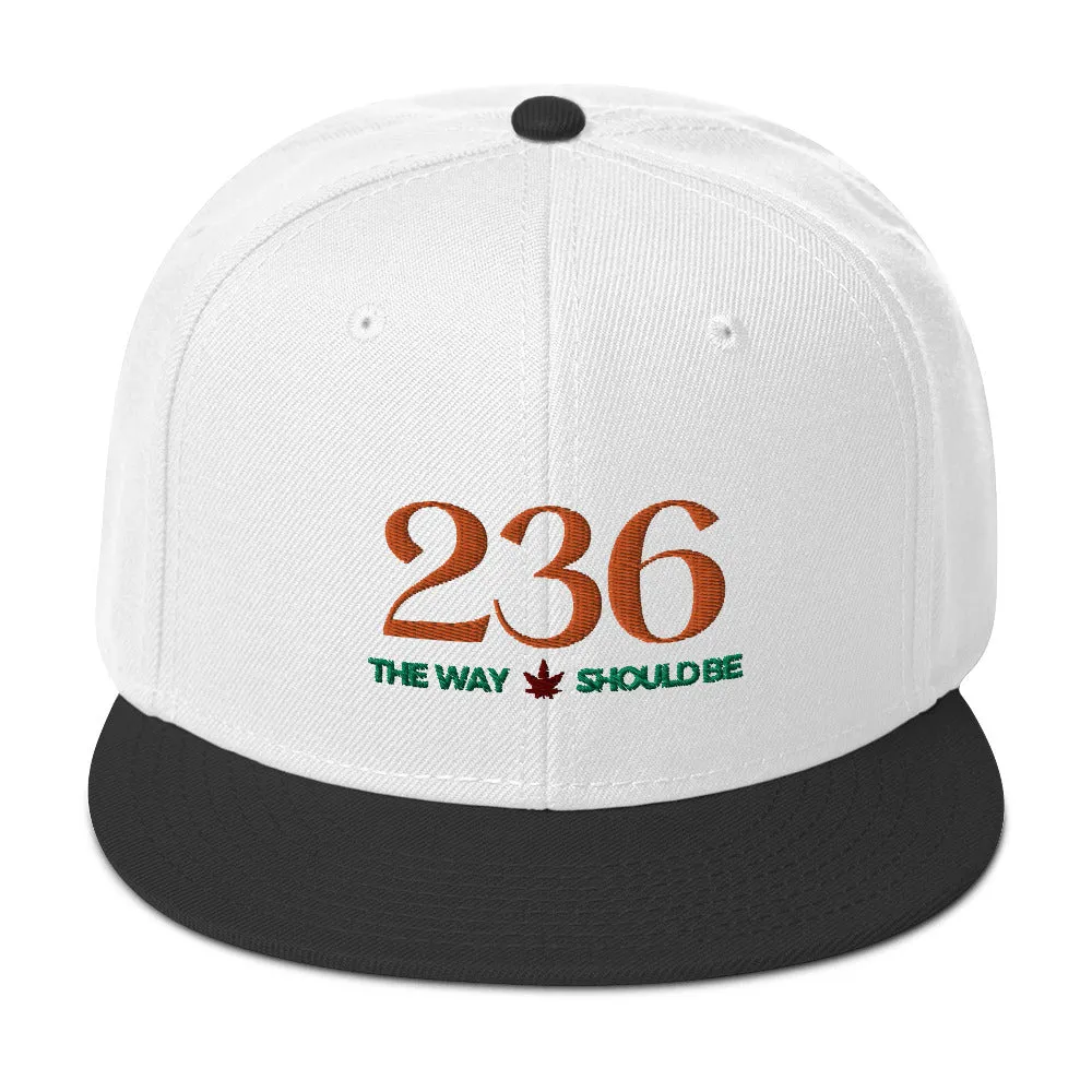 Coastal Maine Cannabis Inspired Snapback Hat