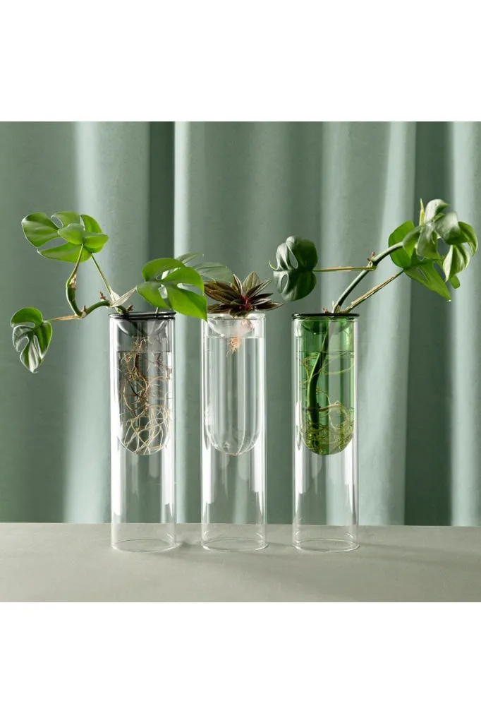 Studio Milligram - Organic Interior Prop Vase - Clear